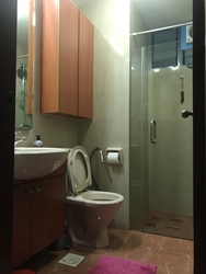 Sanctuary Green (D15), Condominium #163149562